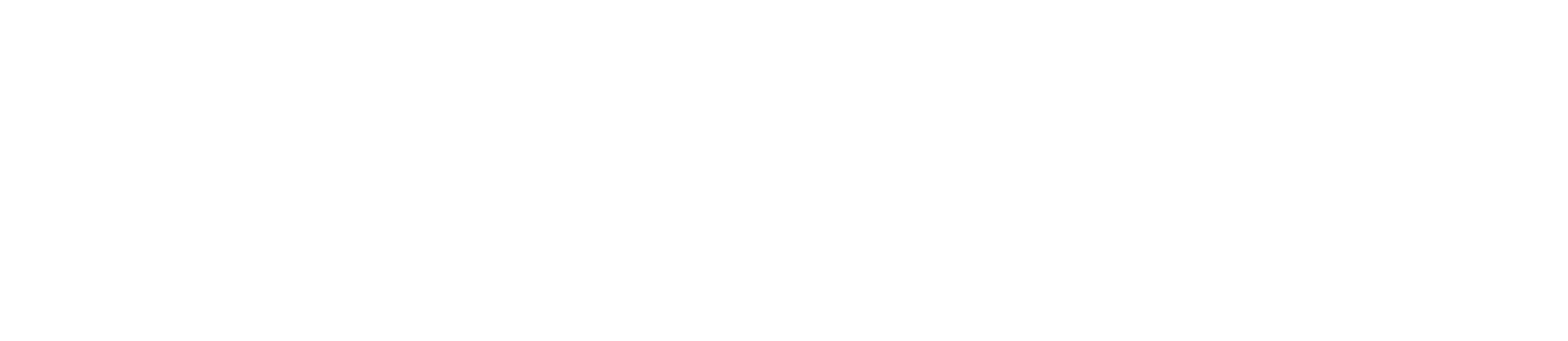 Sicherheitstechnik Robens Logo